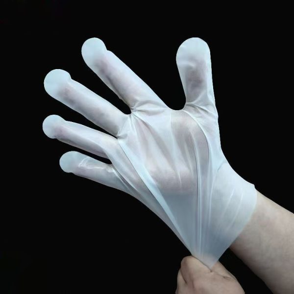 Disposable PET Protective Gloves (100 Pieces/Box, 200 Boxes/Case) - Image 2
