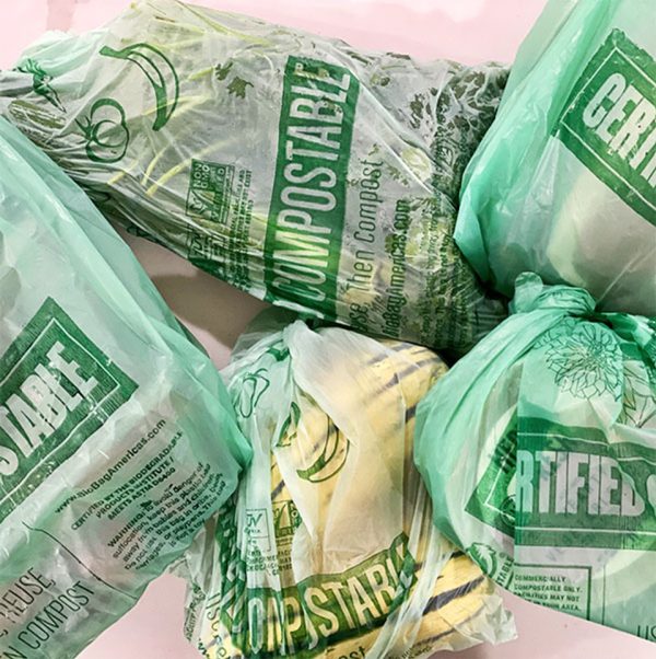 Customizable Biodegradable Flat Pouches (20kg/Carton) - Image 4