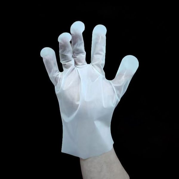 Disposable PET Protective Gloves (100 Pieces/Box, 200 Boxes/Case) - Image 3