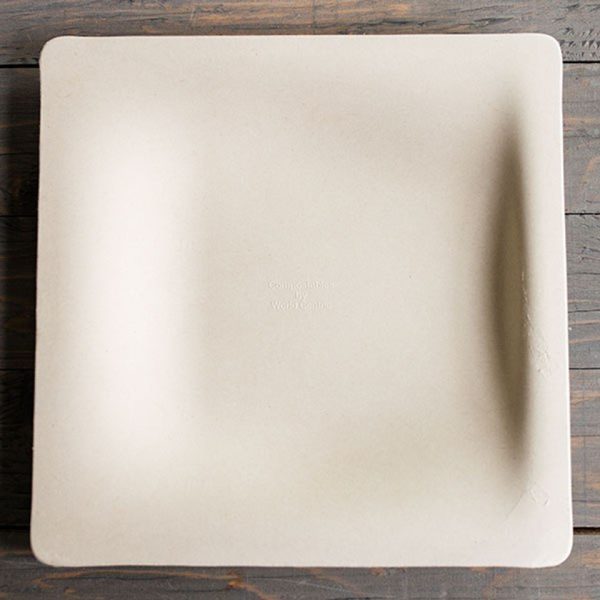 square biodegradable plates (260 pcs per carton)