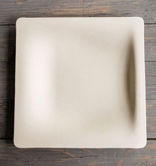 square biodegradable plates (260 pcs per carton)